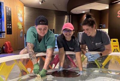 Youth Development Programs at the Aquarium