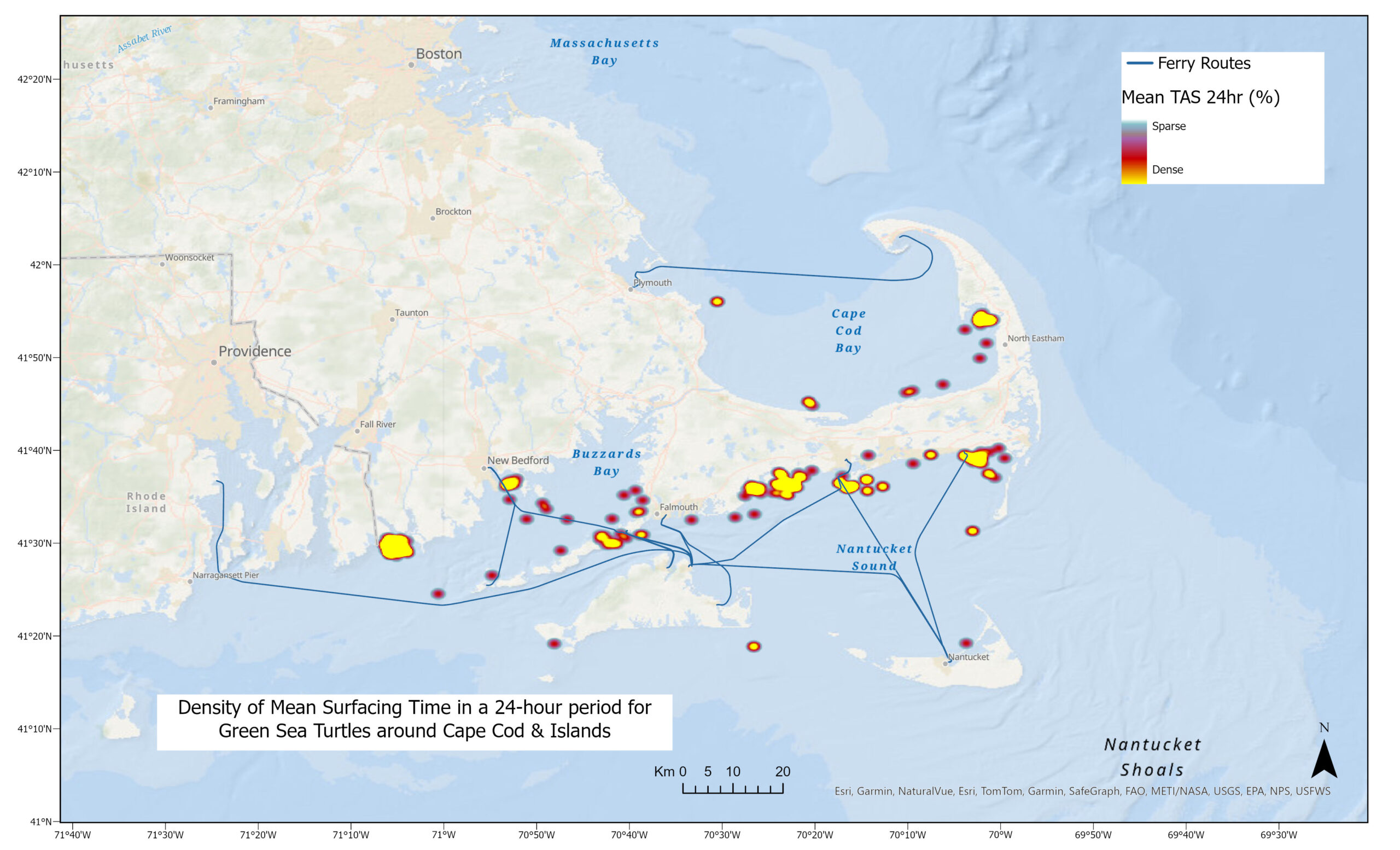 Density of mean surfacing times in a 24-hour period for loggerhead (A), green (B), and Kemp’s ridley (C) sea turtles around Cape Cod & the Islands.TAS refers to Time at Surface. Areas marked yellow designate where sea turtles spent most time at the surface.