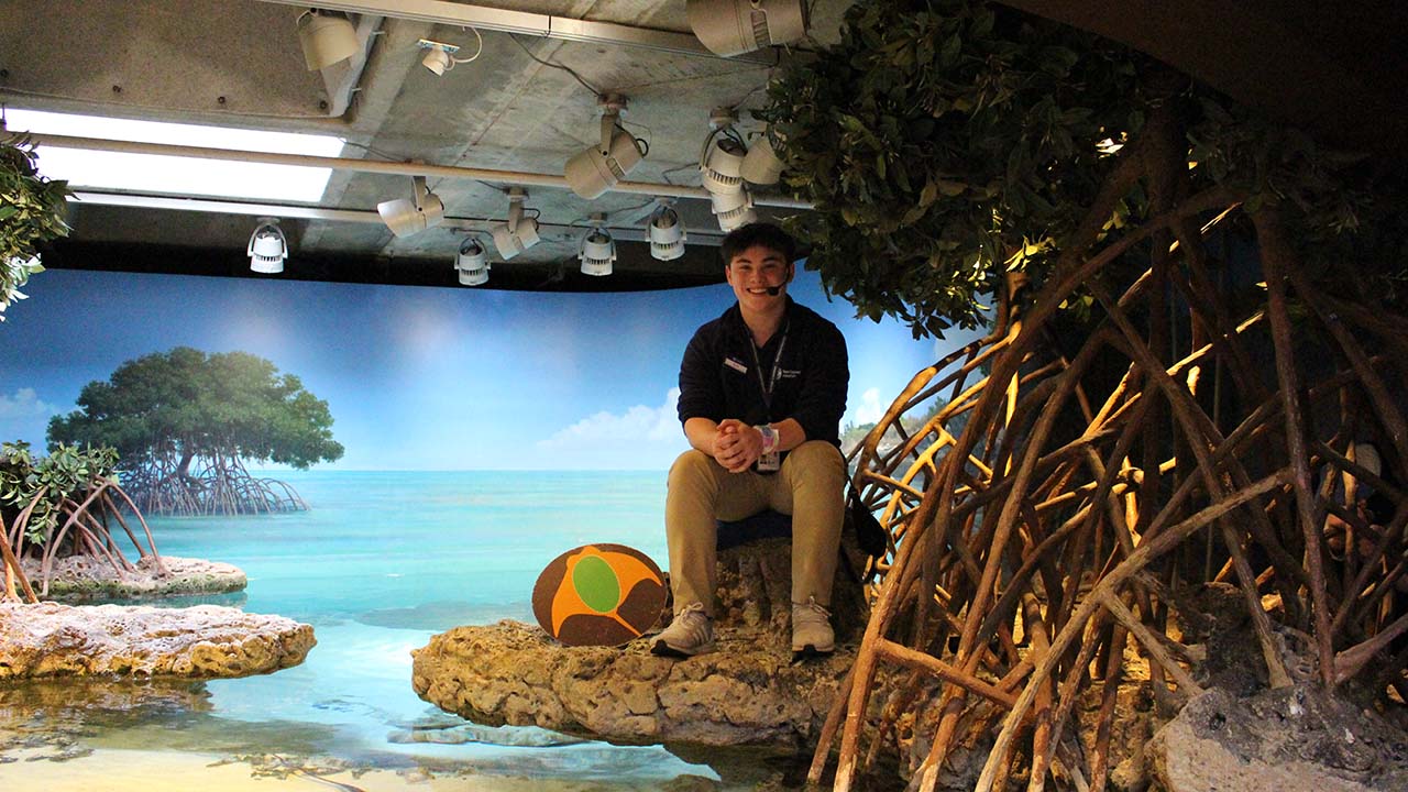 A person sitting on a rock beside mangroves in a shallow tank