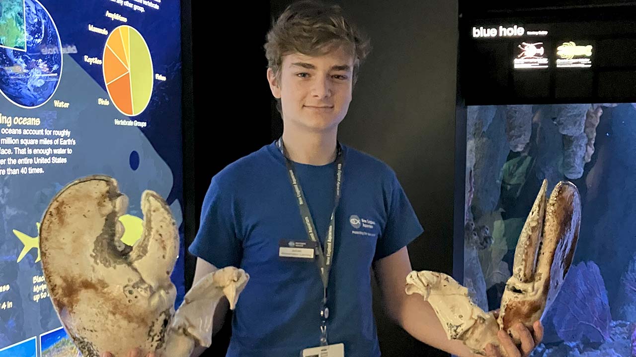Teen Intern Julian holding lobster claws used to teach Aquarium guests about marine life