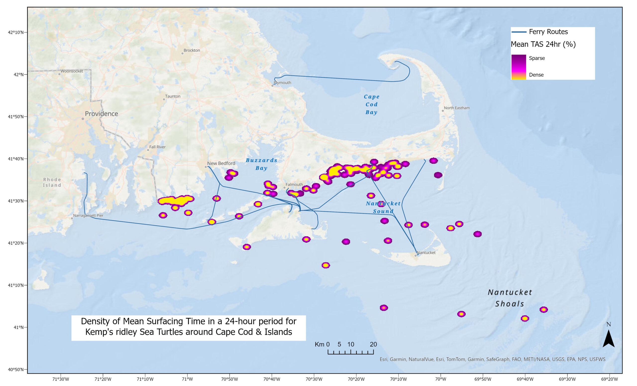 Density of mean surfacing times in a 24-hour period for loggerhead (A), green (B), and Kemp’s ridley (C) sea turtles around Cape Cod & the Islands.TAS refers to Time at Surface. Areas marked yellow designate where sea turtles spent most time at the surface