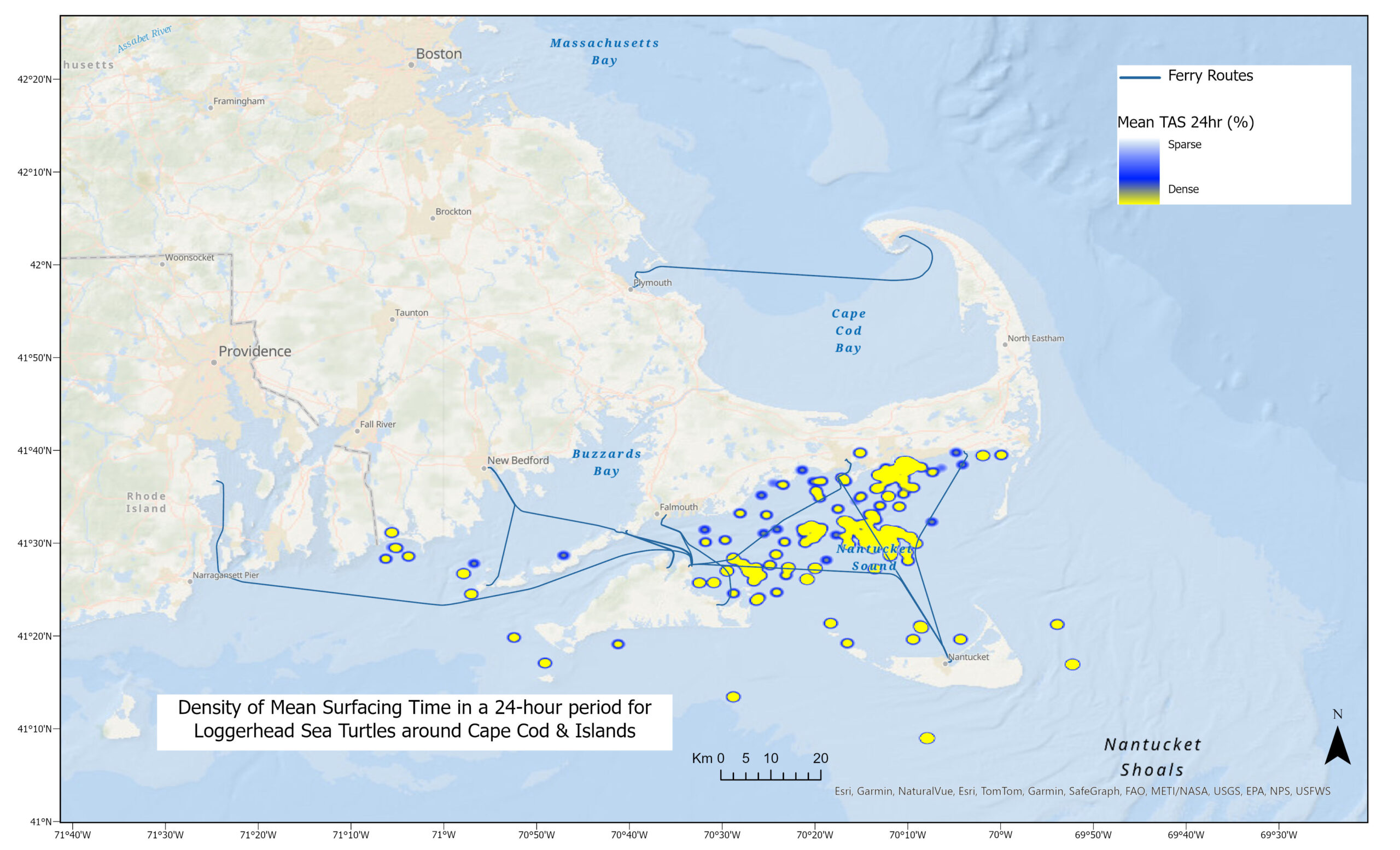 Density of mean surfacing times in a 24-hour period for loggerhead (A), green (B), and Kemp’s ridley (C) sea turtles around Cape Cod & the Islands.TAS refers to Time at Surface. Areas marked yellow designate where sea turtles spent most time at the surface.