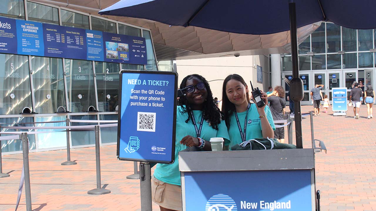 Two individuals standing outside under a blue umbrella by a ticket counter. They are smiling and wearing matching turquoise shirts, each wearing a lanyard around their neck.