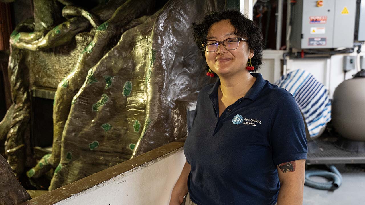 A person in a blue Aquarium shirt standing beside a tank