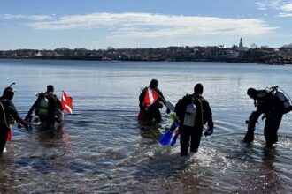 Five scuba divers entering the sea carrying diving equipment and a diver down flag.