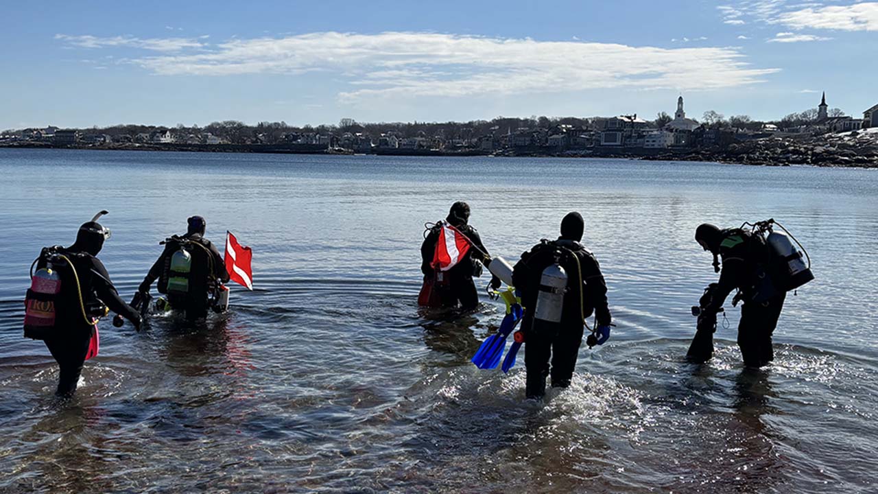 Five scuba divers entering the sea carrying diving equipment and a diver down flag.