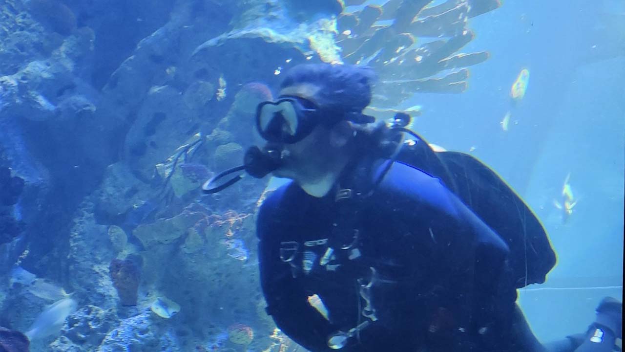 A diver swimming past coral