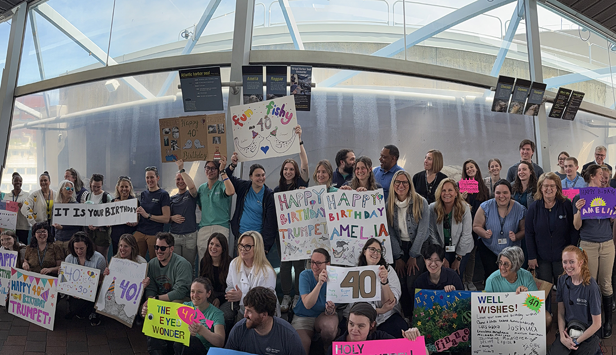 People holding colorful birthday signs in front of the Atlantic harbor seal exhibit