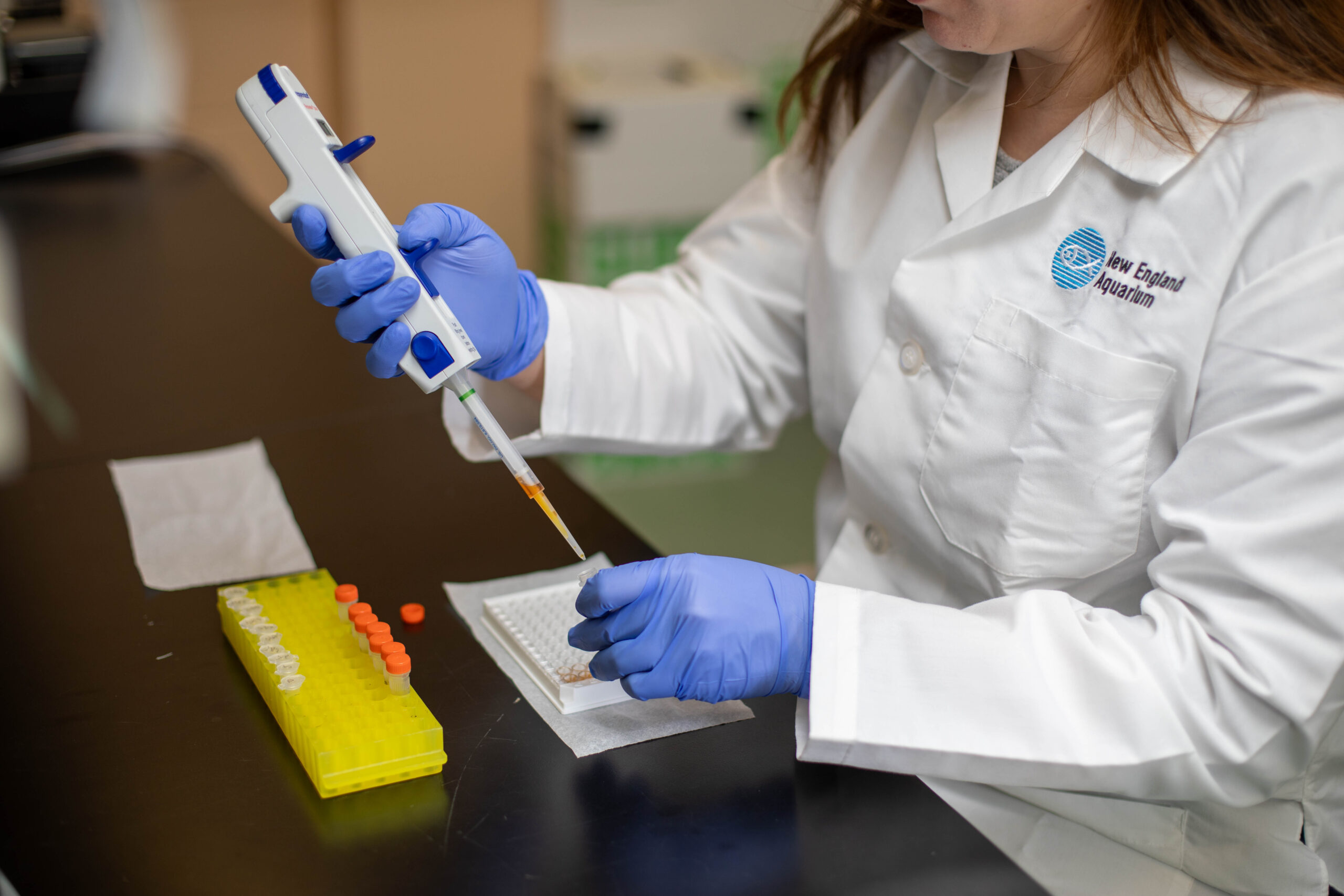 Dillon performing an enzyme immunoassay.