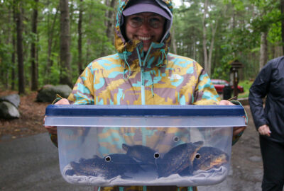 Person holding a clear container with turtles in a forest setting.
