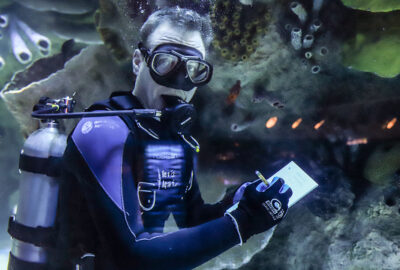 Scuba diver writing on a notepad underwater with coral and marine life in the background.