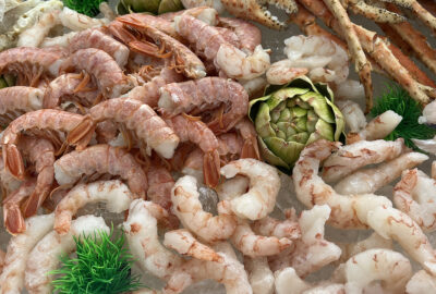 The Coolest Things We Saw—and Tasted—in Responsible Seafood at SENA 2025