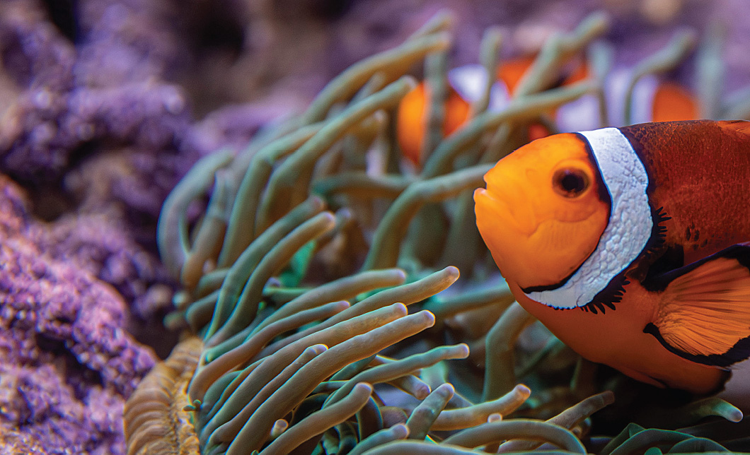 NEAq_WOD25_LB_FNL