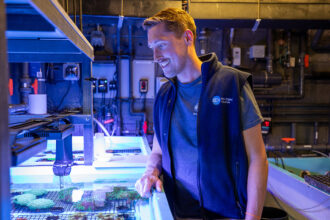 Person examining a tank with corals in an aquarium setting.