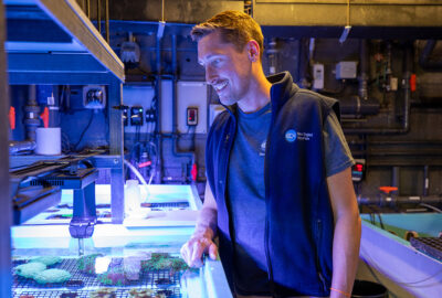 Person examining a tank with corals in an aquarium setting.