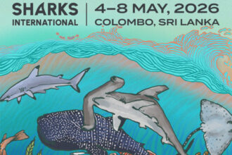 An MCAF Fellow on Convening Shark Conservationists in Sri Lanka
