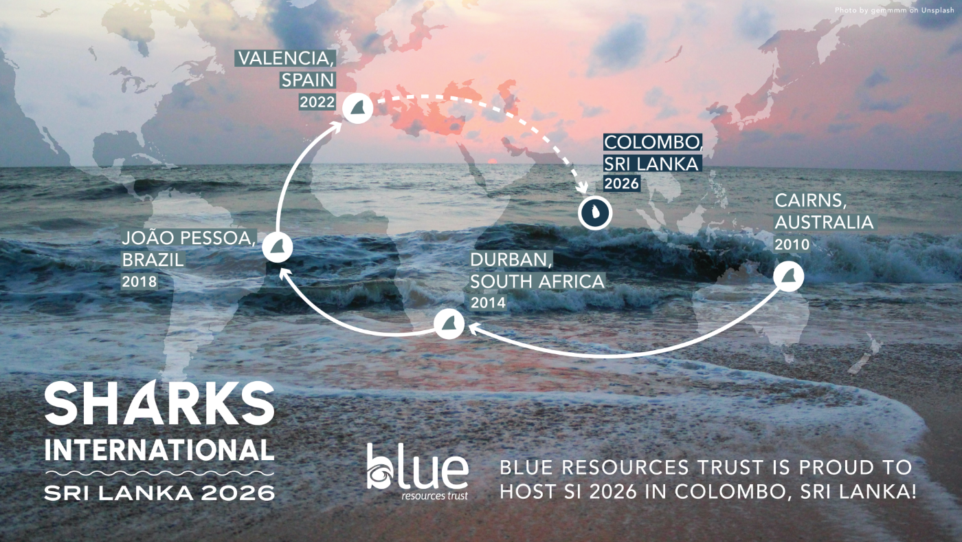 Sharks International Locations