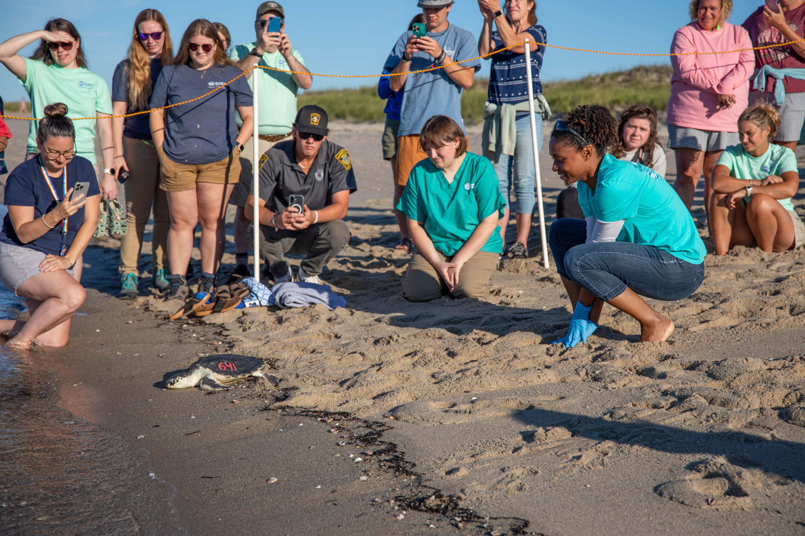 Rehabilitated Kemp’s ridley sea turtle