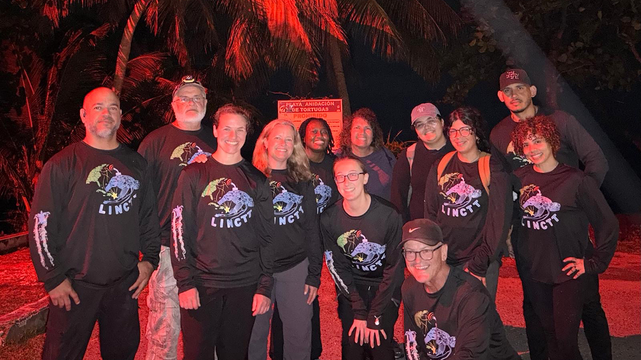 A group of eleven people in black shirts with turtle graphics, under a red light with palm trees in the background at night.