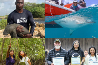 Meet the Four New Marine Conservation Action Fund Fellows for 2025