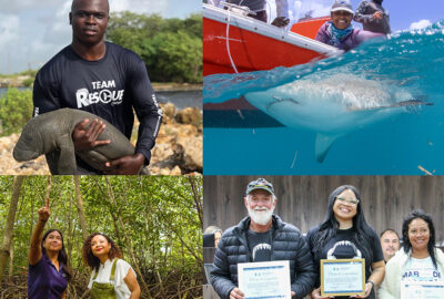 Meet the Four New Marine Conservation Action Fund Fellows for 2025