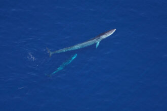 Aerial Survey Sights Over the Monument Highlight Important Protected Habitat