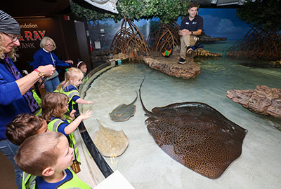 A school group visits the Shark and Ray Touch Tank