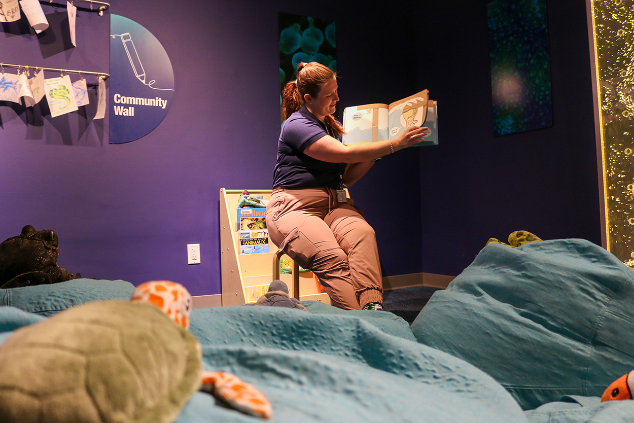 A person reading a picture book aloud surrounded by plush sea turtles and a book display