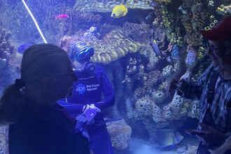 Diver in an aquarium tank with colorful fish and coral, viewed by onlookers.