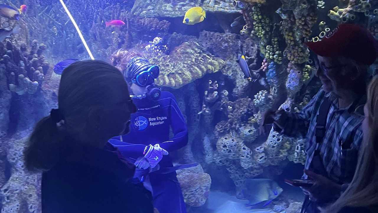 Diver in an aquarium tank with colorful fish and coral, viewed by onlookers.