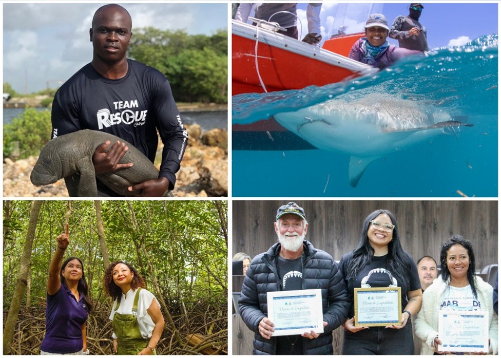 Collage with a man holding a manatee, a shark underwater near a boat, two people in a mangrove forest, and three people with certificates.