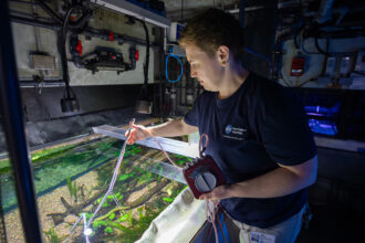 Person using equipment to examine an aquarium tank in a dimly lit environment.