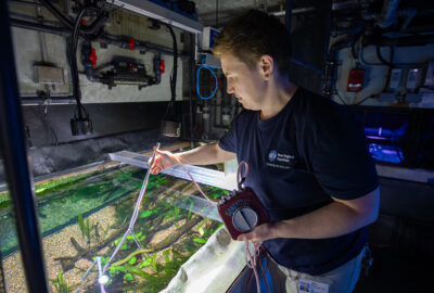 Person using equipment to examine an aquarium tank in a dimly lit environment.