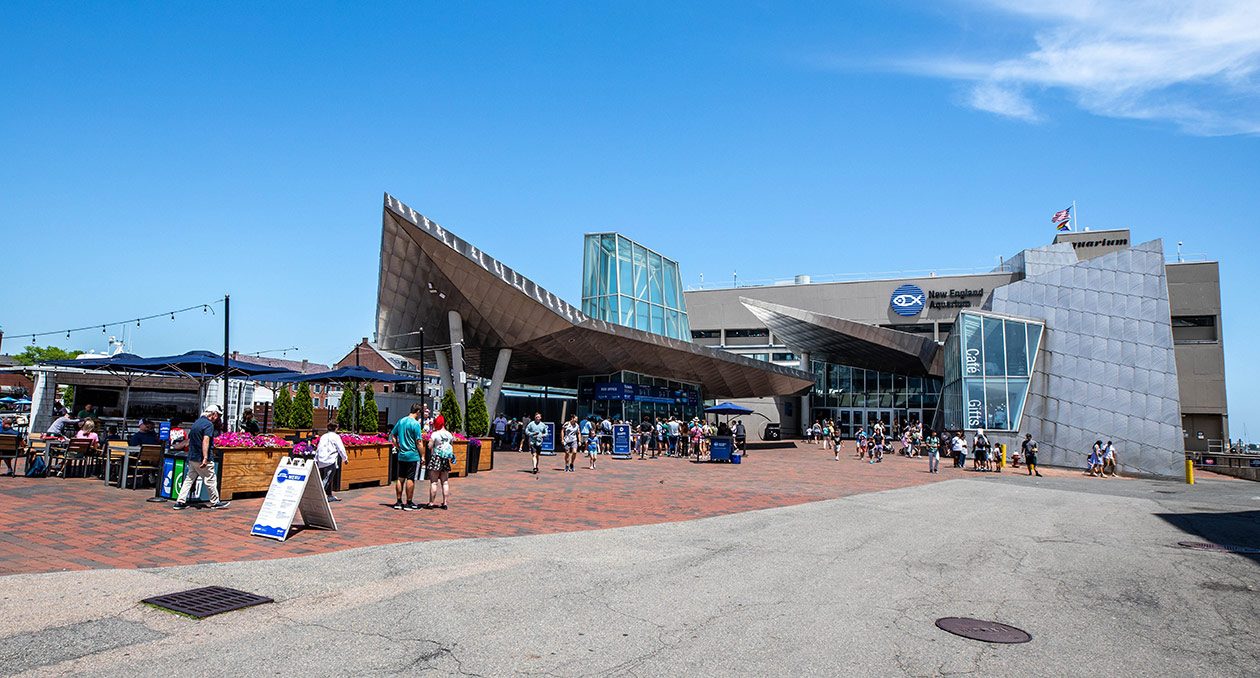 Summer on Central Wharf Plaza
