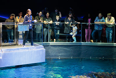 Visitors gather to watch a presentation at the Top of the Giant Ocean Tank