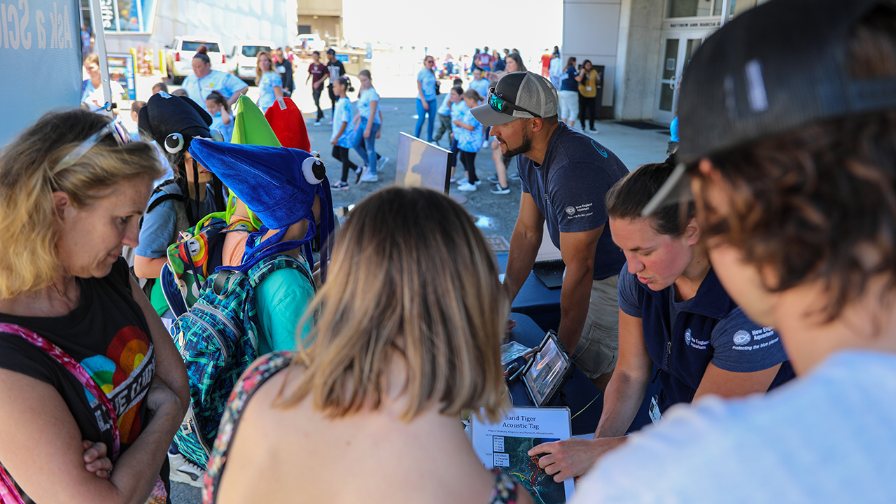 People gather around a booth at an outdoor event, with staff from New England Aquarium and various attendees
