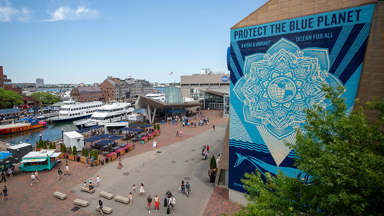 A lively harbor with people, boats, and a large mural featuring a mandala and ocean theme on a building.Transcribed Text: PROTECT THE BLUE PLANET A VITAL & VIBRANT OCEAN FOR ALL