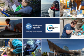 Announcing our Membership in the International Union for Conservation of Nature