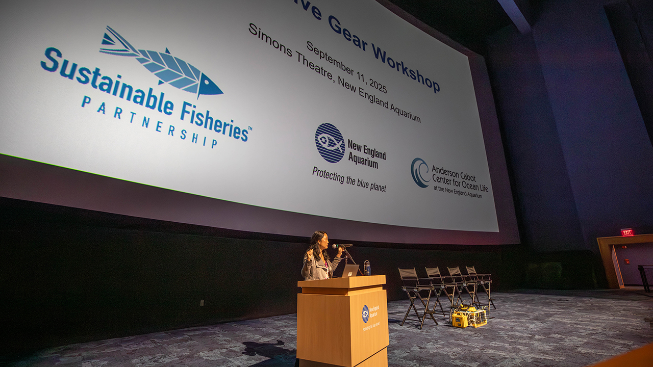 A speaker at a podium addresses an audience in front of a large screen at the Simons Theatre, New England Aquarium.