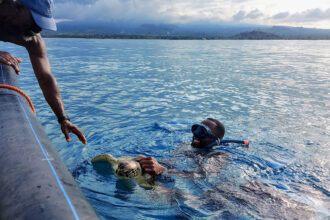 A man in the water holds a sea turtle near a boat as another man reaches towards them.
