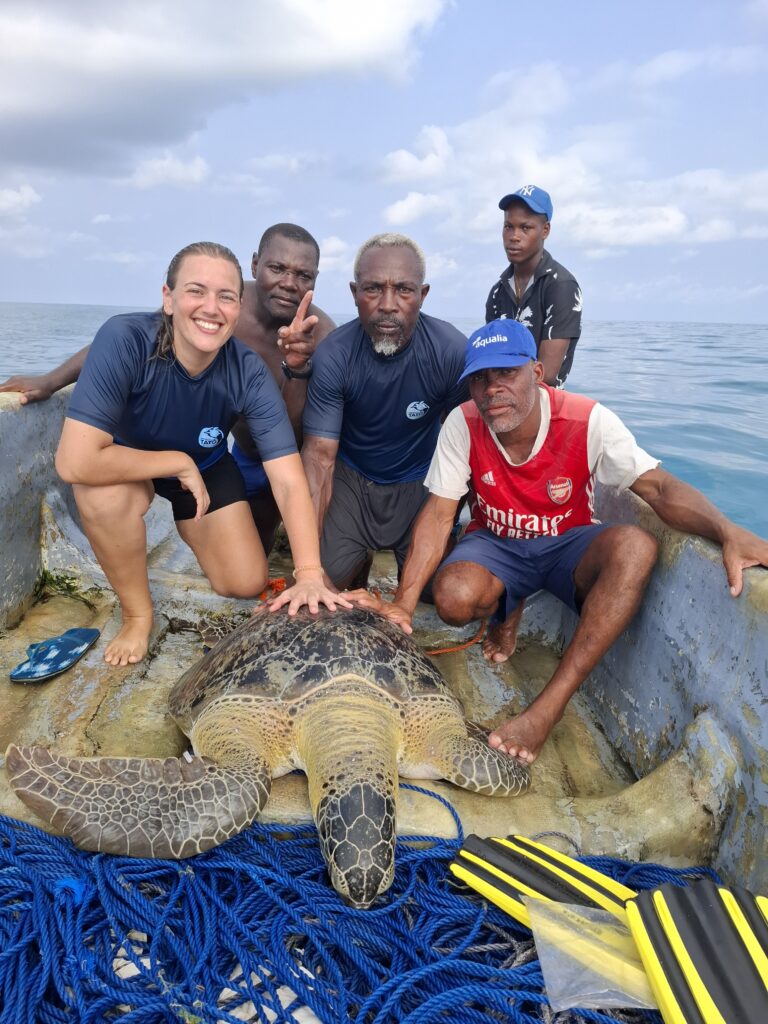 A group of people in a small boat gathered around a green sea turtle.