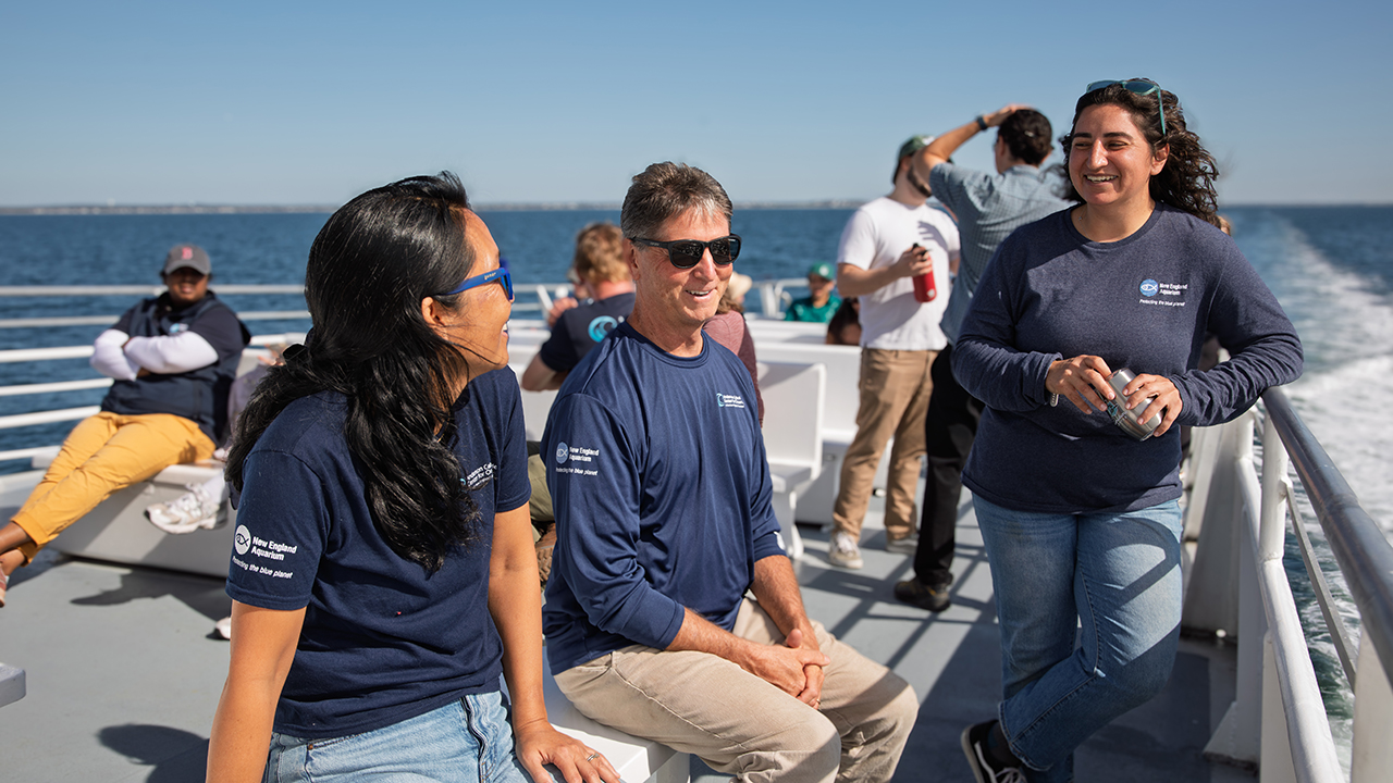 People on a boat deck talking and enjoying a sunny day.