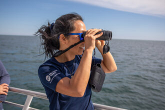 A Q&A with BalanceBlue Lab Director Michelle Cho