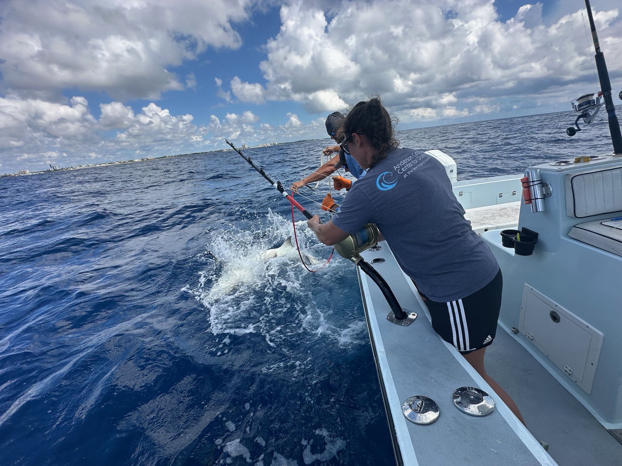 People fishing on a boat reeling in a large shark