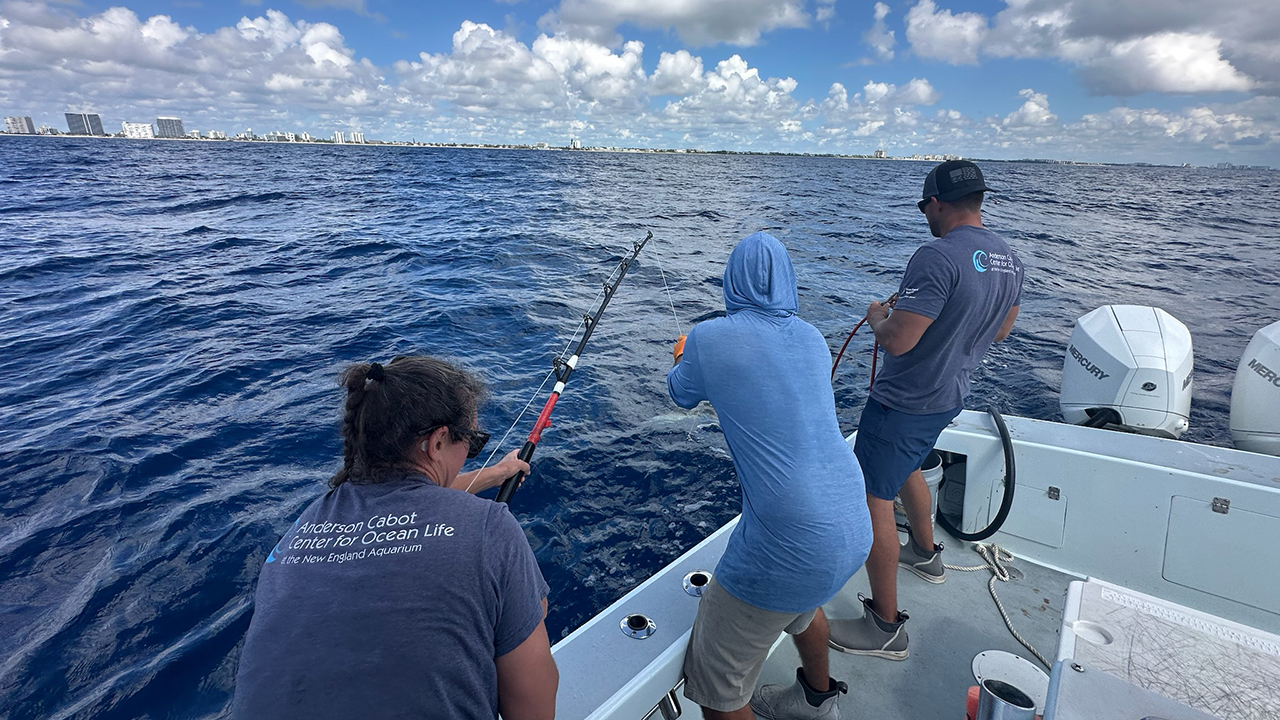 Fishing alongside a charter captain in Florida