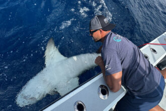 A man on a boat interacts closely with a large shark in the ocean