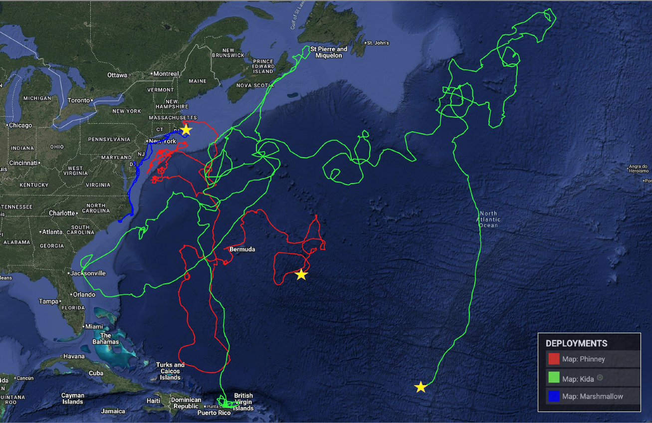 Map showing deployment paths in the North Atlantic Ocean with red, green, and blue lines, highlighting locations and paths from the U.S. coast extending into the ocean.