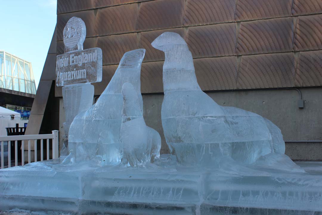 An ice sculpture of a California sea lion family with two adults and one juvenile