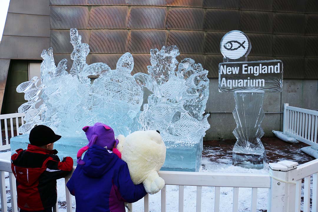 Children viewing an ice sculpture depicting a sea turtle