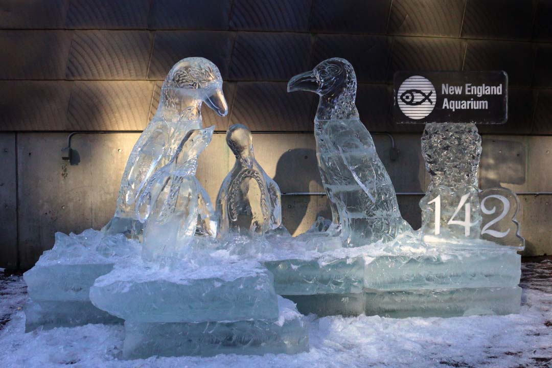 An ice sculpture of two adult African penguins and one juvenile